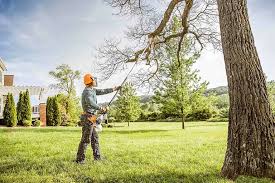 How Our Tree Care Process Works  in  Grand Bay, AL